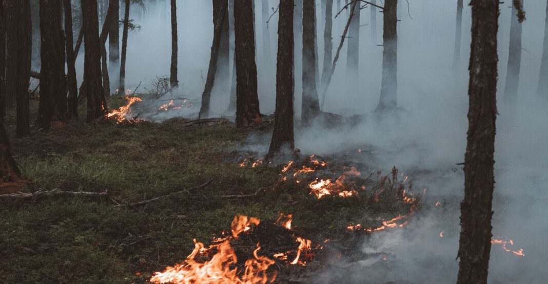 Erhöhte Waldbrandgefahr bei Erlangen: Deutscher Wetterdienst meldet Stufe 4 Erhöhte Waldbrandgefahr bei Erlangen: Deutscher Wetterdienst meldet Stufe 4