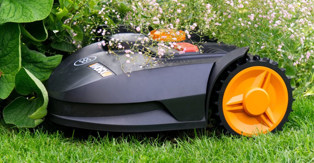 Nürnberg empfiehlt: Mähroboter tagsüber betreiben, um Igel zu schützen Nürnberg empfiehlt: Mähroboter tagsüber betreiben, um Igel zu schützen