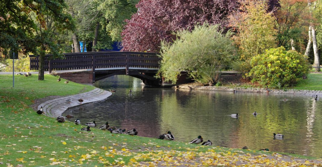 Tag des Baumes in Nürnberg: Baumtaufe, Rundgänge und Kinderprogramm im Stadtpark Tag des Baumes in Nürnberg: Baumtaufe, Rundgänge und Kinderprogramm im Stadtpark