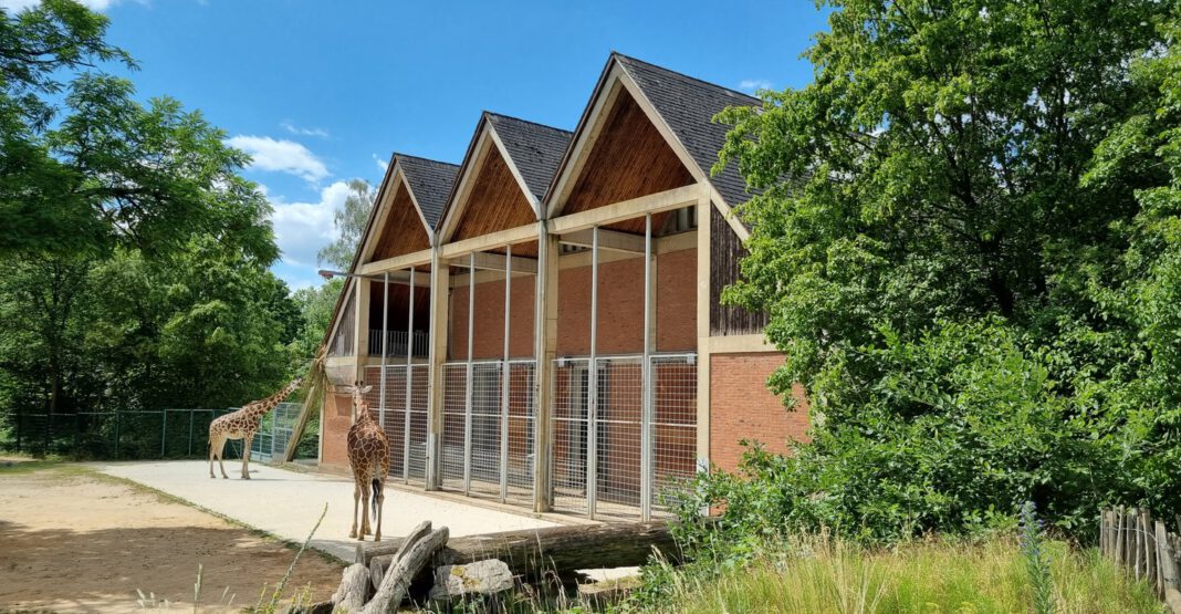 Tiergarten Nürnberg bietet Gutscheine, Patenschaften und Führungen als Weihnachtsgeschenke an Tiergarten Nürnberg bietet Gutscheine, Patenschaften und Führungen als Weihnachtsgeschenke an