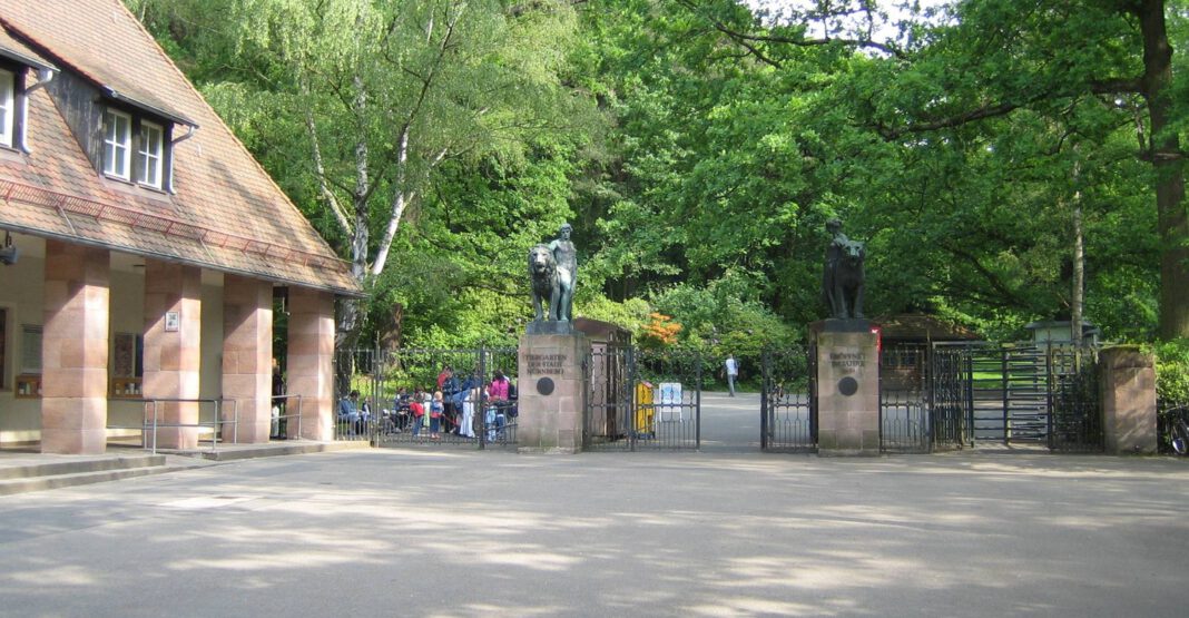 Tiergarten Nürnberg kündigt öffentliche Vortragsreihe zu Artenschutz und Forschung an